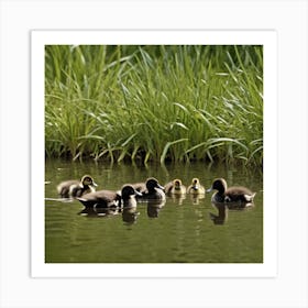 Family Duck Art Print