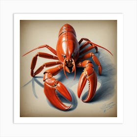 Lobster Drawing 1 Art Print