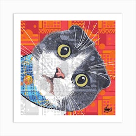 Kazuo Scottish Fold Cat Square Art Print