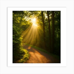 Sunrise In The Woods Art Print