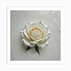 white rose Art Print