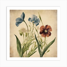 Flax3 Floral Botanical Vintage Poster Flower 1 Art Print