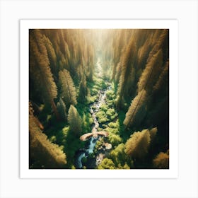 Aerial Photography Of A Forest Art Print