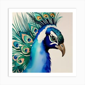 Peacock Art Art Print