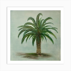 Canary Palm Art Print