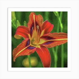 Red Lily Art Print