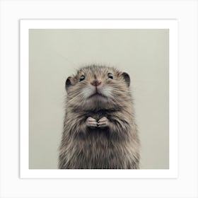 Hamster Art Print