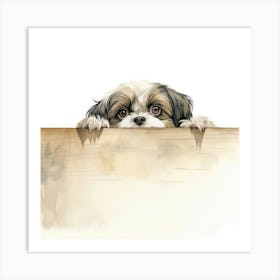 Shih Tzu 10 Art Print