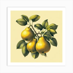 Branch With Yellow Pears Art Print