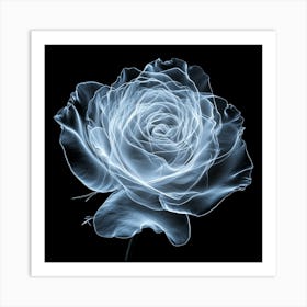 White Rose On Black Art Print