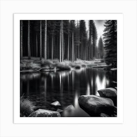 Black And White Forest 2 Art Print