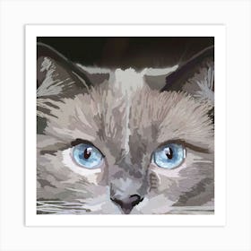 Cat With Blue Eyes Art Print