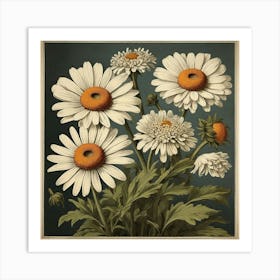 Oxeye Daisy Floral Botanical Vintage Poster Flower Art print 2 Art Print