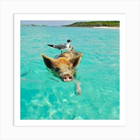 Pig In The Water Art Print