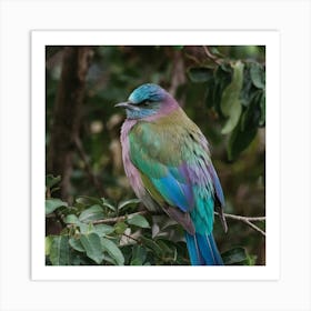 Lilac-Breasted Roller Art Print