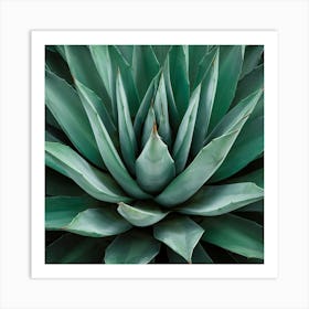 Hypnotic Agave Plant Art Illustration Painting Fas Vlgwzfdrsmpuxvhue X Q E1msfgfxrrohfunmyitmoq Art Print