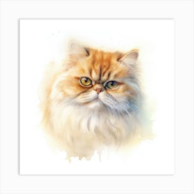 Persian Cat Portrait 3 Art Print