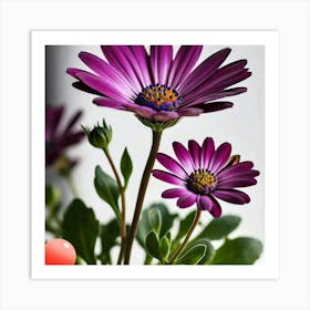 Purple Daisies Art Print