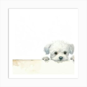 White Maltese Puppy Art Print