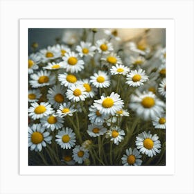 Frame Created From Chamomile On Edges And Nothing In Middle Haze Ultra Detailed Film Photography (4) Art Print