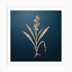 Gold Botanical Wachendorfia Thyrsiflora on Dusk Blue n.2521 Art Print
