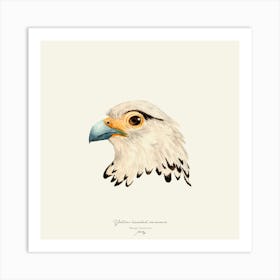 Yellow Headed Caracara 2 Art Print