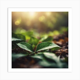 Green Leaf In The Forest 5 Art Print