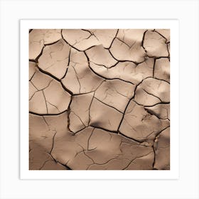 Cracked Soil Art Print