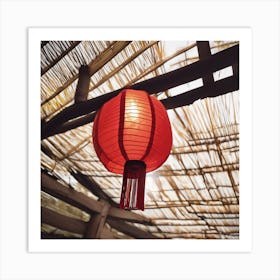 Chinese Lantern Image 6532ac08 D506 498e Bf6b 3f460c7ffc58 Art Print