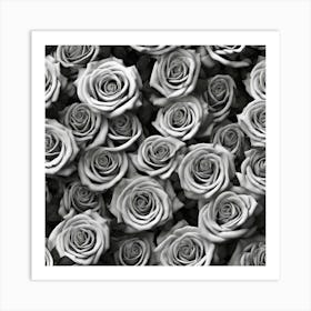 Black And White Roses 27 Art Print