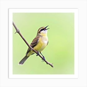 Yellow Warbler Art Print