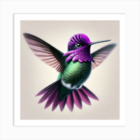 Hummingbird 14 Art Print