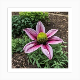 Purple Cosmos Art Print