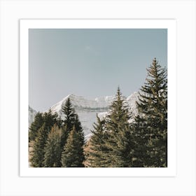 Pine Forest Mountain Art Print