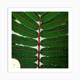 Tamarind leaf Art Print