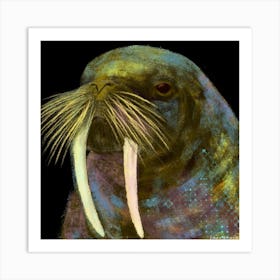 Walrus Art Print