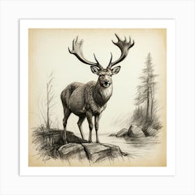 Stag! 12 Art Print