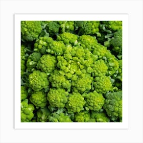 Close Up Of Green Broccoli Art Print