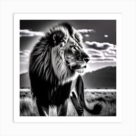 Lion In The Grass 1 Art Print