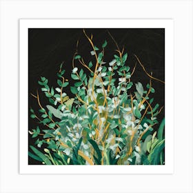 Eucalyptus 1 Art Print