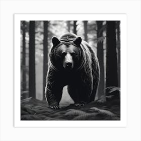 Black Bear In The Forest 3 Art Print