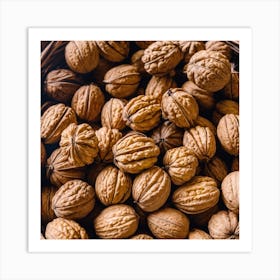 Walnuts In A Basket 2 Art Print