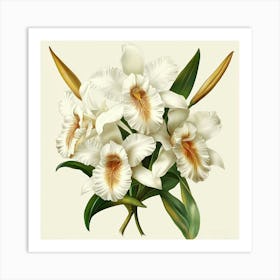 White Orchids Art Art Print