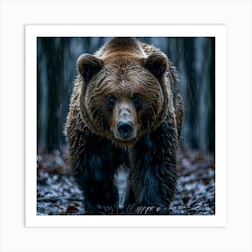 Grizzly Bear In The Rain Art Print