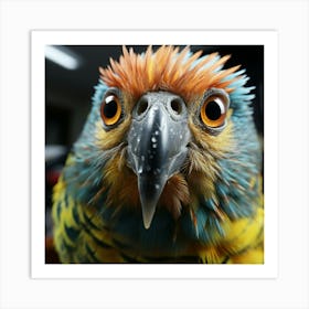 Parrot 2 Art Print