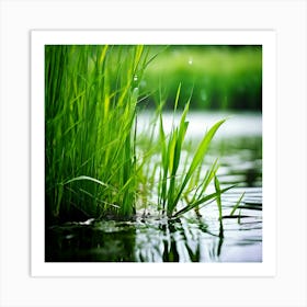 Grass Plant Reed Green Background Nature Closeup Garden Flora Growth Leaf Summer Spring (5) Art Print