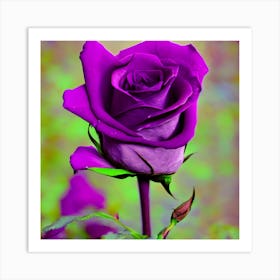 Purple Rose Art Print