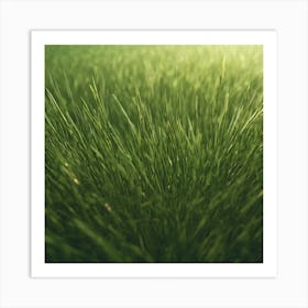 Green Grass 24 Art Print