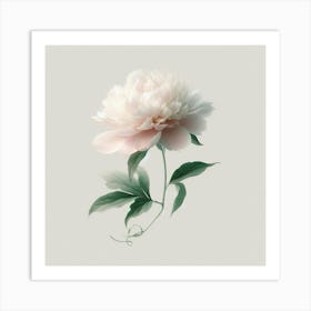 Peony 2 Art Print