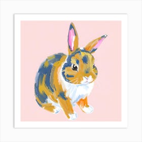 Netherland Dwarf Rabbit 01 Art Print